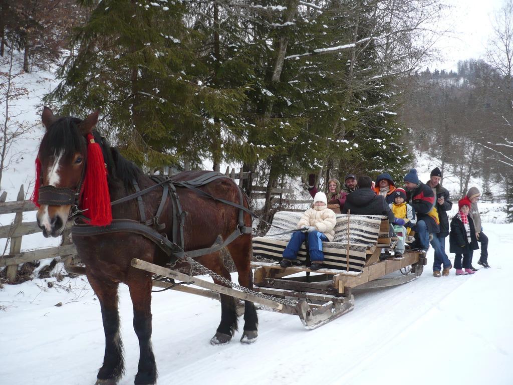 Casa Bunicii Din Bucovina Villa Vama  Rom bilde