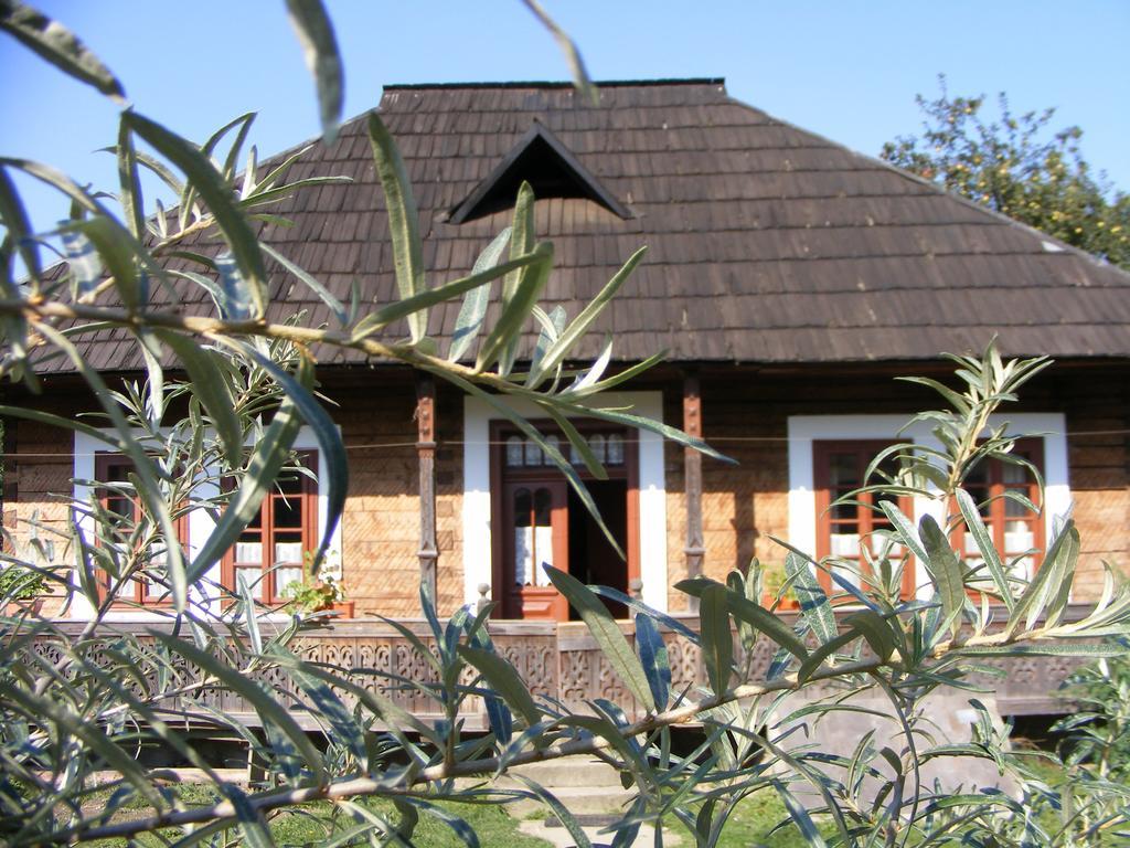 Casa Bunicii Din Bucovina Villa Vama  Eksteriør bilde